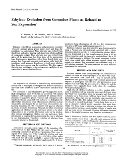 Ethylene Evolution from Cucumber Plants as