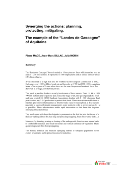 Synerging the actions: planning, protecting, mitigating. The example