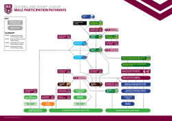 queensland rugby league male participation pathways