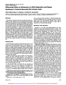 Differential Effect of Adriamycin on DNA