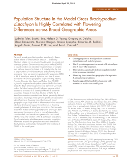Population Structure in the Model Grass Brachypodium distachyon