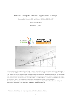 Optimal transport, level-set: applications to image