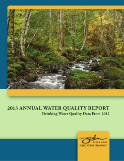 2013 annual water quality report