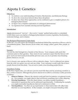 Protein Explorer (Protex)