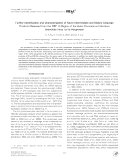 Further Identification and Characterization of Novel