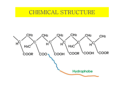 Hankuck Latices