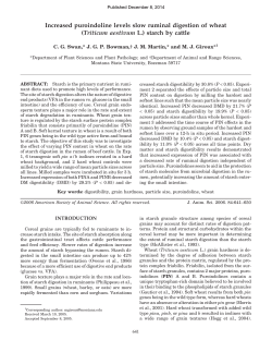 (Triticum aestivum L.) starch by cattle