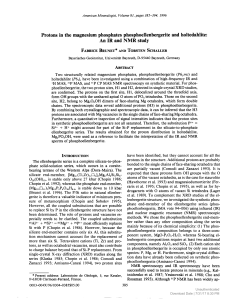 Protons in the magnesium phosphates