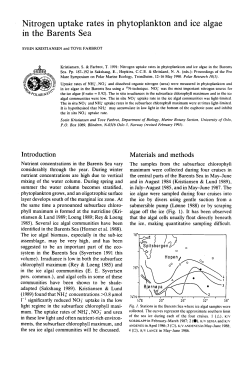 Nitrogen uptake rates in phytoplankton and ice algae in the