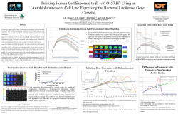 Correlation Between Cell Number and Bioluminescent Output