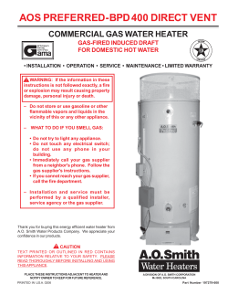 BPD 400 Direct Vent Commerical Gas 197279
