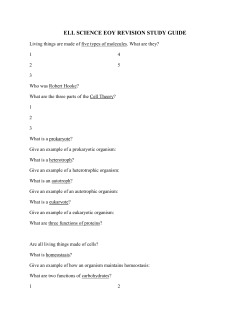 Final Revision Guide File