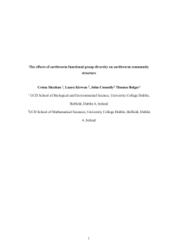 paper 1 - WIT Repository