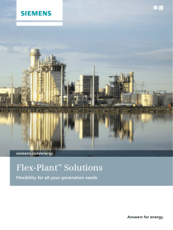 Flex-Plant&trade; Solutions - Energy