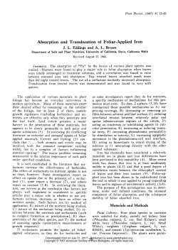 Absorption and Translocation of Foliar-Applied Iron