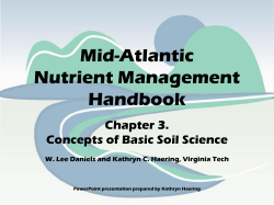 organic matter