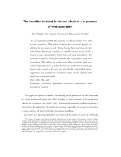 The incentive to invest in thermal plants in the presence of wind