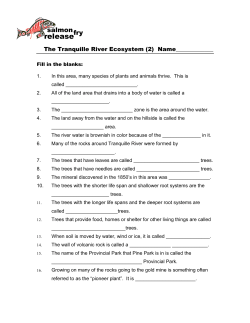 Pine Park Quiz Level 2
