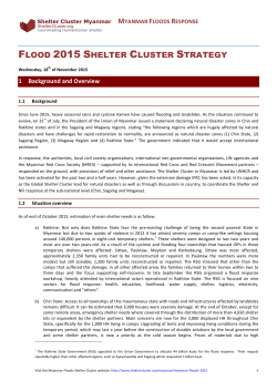 flood 2015 shelter cluster strategy