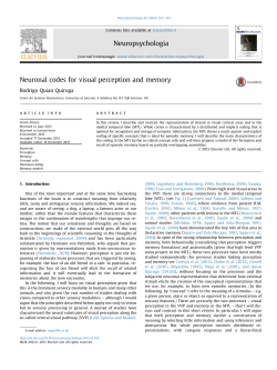 Neuronal codes for visual perception and memory
