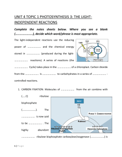 UNIT 4 TOPIC 1 PHOTOSYNTHESIS 3