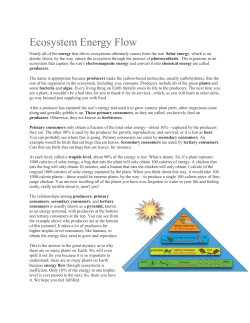 Energy in an Ecosystem Reading