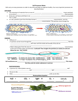 photosynthesis fill in