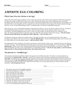 Amniotic Egg Coloring