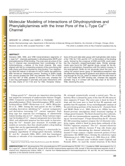 Molecular Modeling of Interactions of Dihydropyridines and