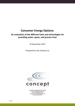 Consumer Energy Options