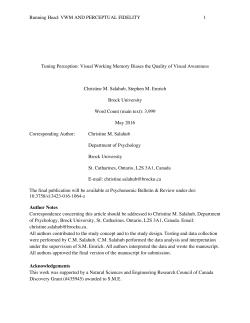 VWM AND PERCEPTUAL FIDELITY 1 Tuning Perception