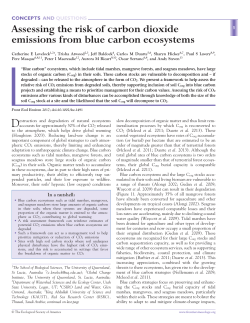 Assessing the risk of carbon dioxide emissions from blue carbon