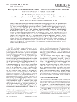 Binding of Reduced Nicotinamide Adenine Dinucleotide Phosphate