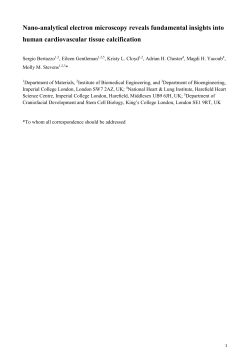 Nat Mat - Manuscript - Bertazzo - Abstract 158 words