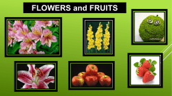FLOWERS and FRUITS Angiosperms is the name given to plants