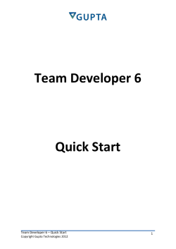 OpenText&trade; Gupta Team Developer