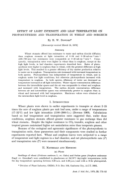 effect of light intensity and leaf temperature on photosynthesis and
