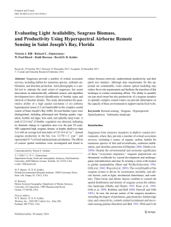 Evaluating Light Availability, Seagrass Biomass, and