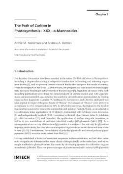 The Path of Carbon in Photosynthesis - XXX - &alpha;