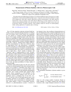 Measurement of Photon Statistics with Live Photoreceptor Cells