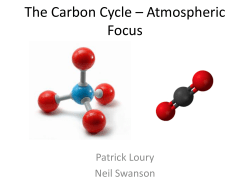 The Carbon Cycle