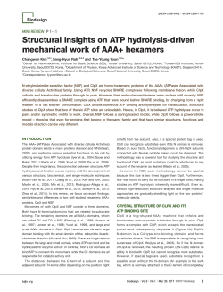 Structural insights on ATP hydrolysis-driven mechanical