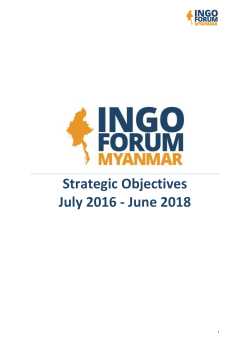Ref Doc_INGO Forum Strategic Plan (2016-2018)