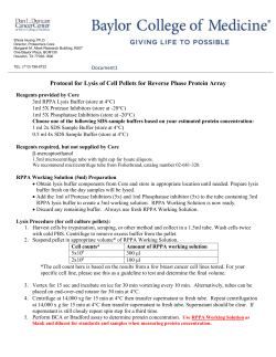 Protocol for Lysis of Cell Pellets for Reverse Phase Protein Array