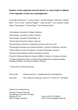 Deletion of the epidermis derived laminin &gamma;1 chain leads to defects