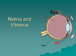 Retina - Science Mission