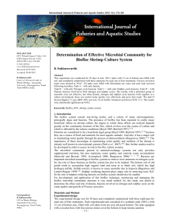 Determination of Effective Microbial Community for Biofloc Shrimp