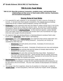 TEK 8.11A: Describe producer/consumer, predator/prey, and
