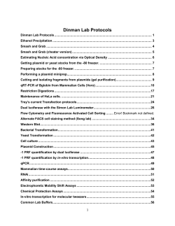 If we are using the default dual luciferase protocol for