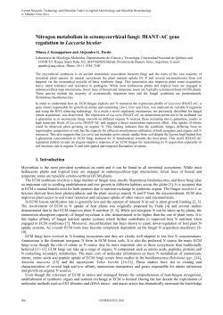 Nitrogen metabolism in ectomycorrhizal fungi
